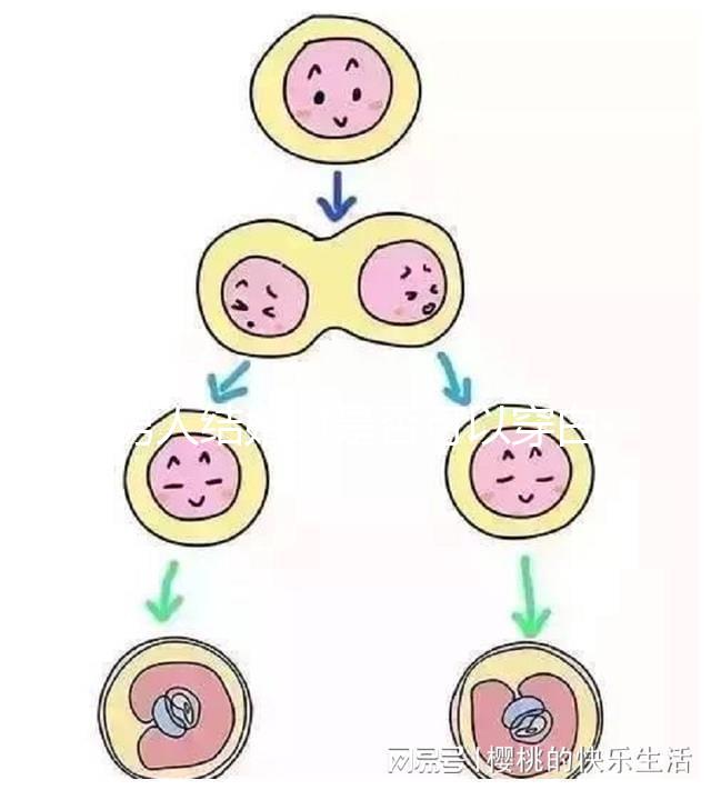 男人結婚時是否可以穿白色鞋子和白色西裝進行分析，看看對誰不利