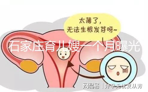 石家莊育兒嫂一個月曝光多少錢？馬寶:公司級別越高越貴