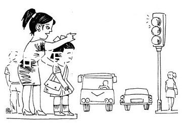 知母的作用與功效(黃柏的作用與功效)