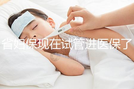 省婦保現(xiàn)在試管進醫(yī)保了嗎