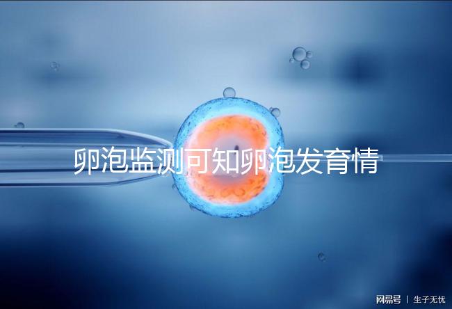 卵泡監(jiān)測可知卵泡發(fā)育情況預測排卵期來提高受孕率