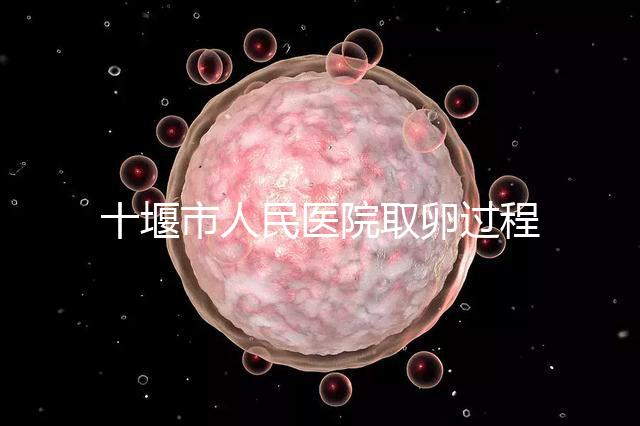 十堰市人民醫院取卵過程詳解，三種情況可全身麻醉