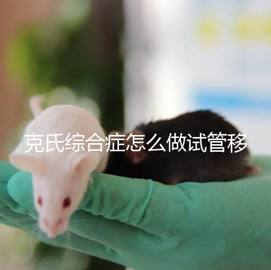 克氏綜合癥怎么做試管移植看這，促排取卵一個流程不能少