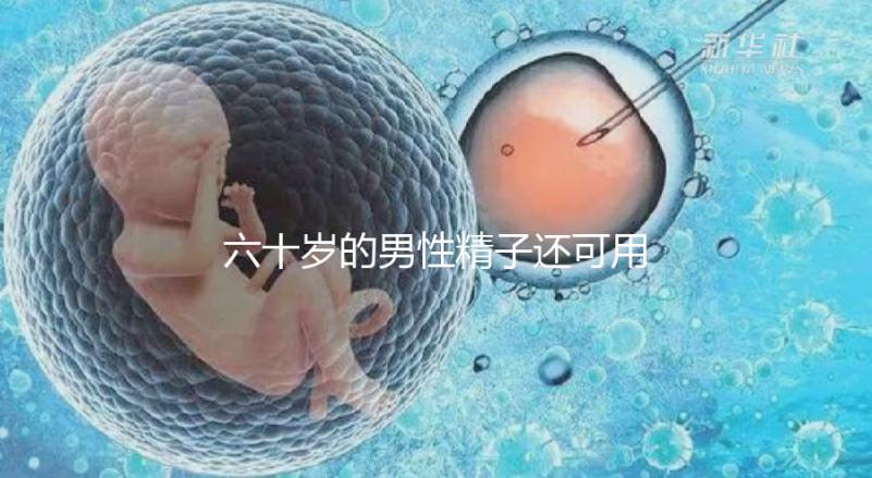 六十歲的男性精子還可用于試管嬰兒生育嗎？