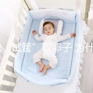 做“試管”取卵子 為什么10個卵泡只能取6個卵子?