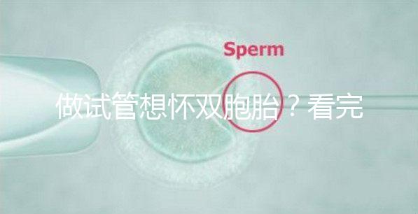 做試管想懷雙胞胎？看完這篇文章再決定