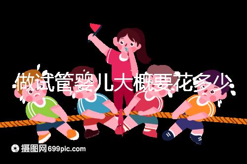 做試管嬰兒大概要花多少錢？