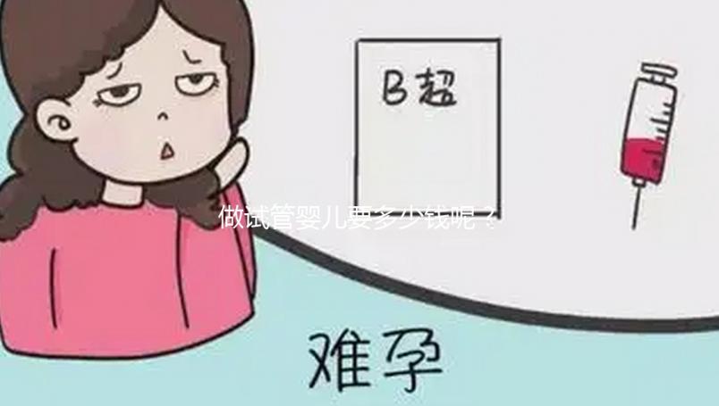 做試管嬰兒要多少錢呢？