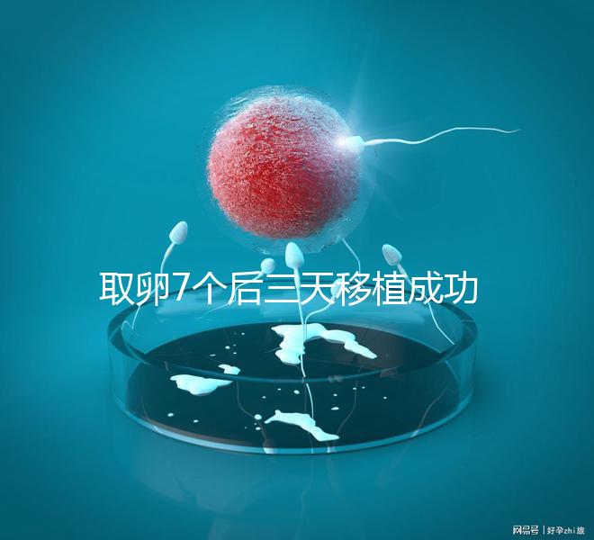 取卵7個后三天移植成功率真不低，關鍵要滿足這5大條件
