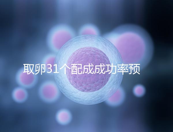 取卵31個配成成功率預測，鮮胚個數在這個范圍都有希望