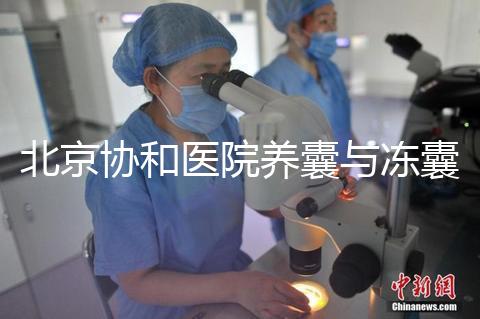 北京協和醫院養囊與凍囊費用參考,做好這4點成功率上漲