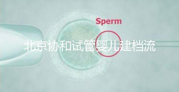 北京協和試管嬰兒建檔流程介紹，到院后掛號必不可少