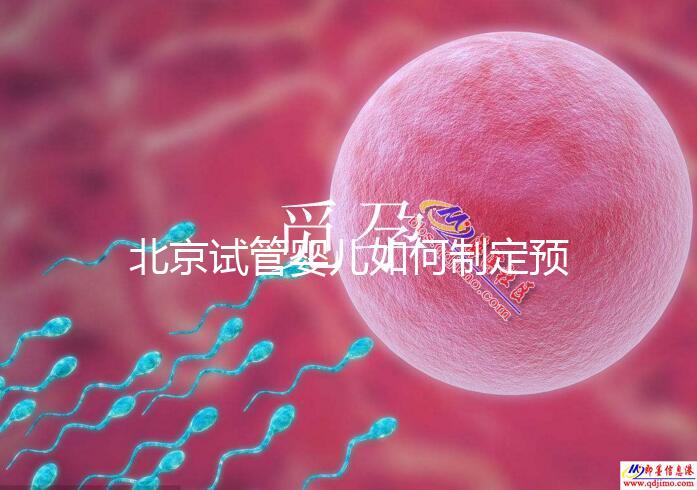 北京試管嬰兒如何制定預(yù)算，費用解析必看