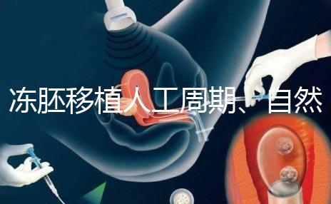 凍胚移植人工周期、自然周期怎么選？哪個成功率高？