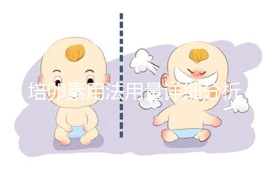 培卵素用法用量詳細(xì)分析，不同情況服用時(shí)間有差異