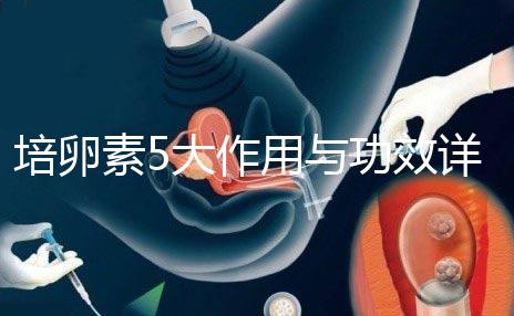 培卵素5大作用與功效詳解，提高卵子質(zhì)量?jī)H為其一