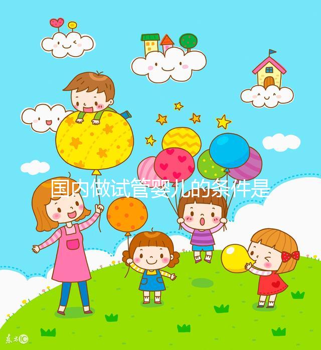 國內(nèi)做試管嬰兒的條件是什么，有什么要求？