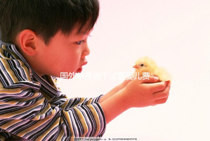 國(guó)外單身做個(gè)試管嬰兒費(fèi)用大概要多少？