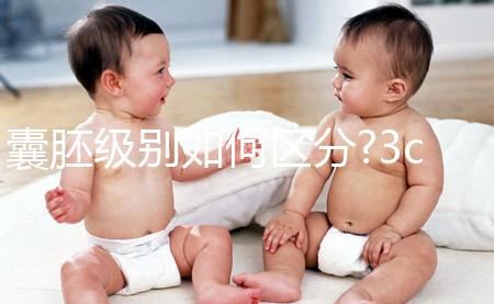 囊胚級別如何區分?3cb和3bc等級相仿,有移植需要