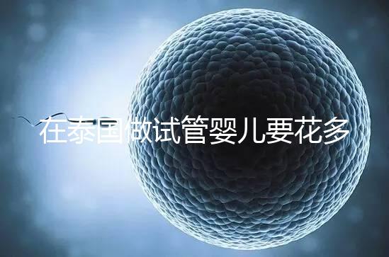 在泰國做試管嬰兒要花多少錢？一位助孕顧問的深夜坦白