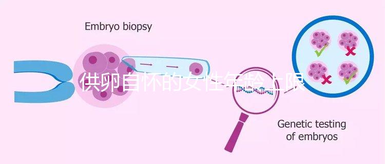 供卵自懷的女性年齡上限多大速覽，高齡警惕這些影響