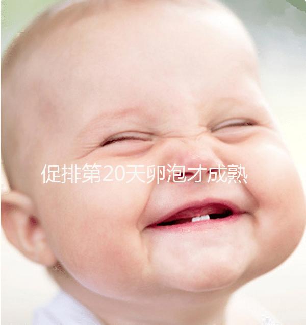 促排第20天卵泡才成熟真不會太晚，沒來月經15X13都有希望