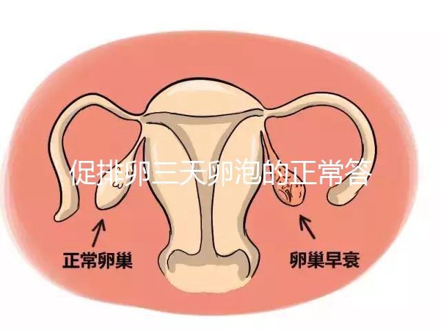 促排卵三天卵泡的正常答案是什么？取出8毫米卵原細胞的時間