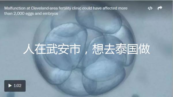 人在武安市，想去泰國(guó)做試管嬰兒生男孩要花多少錢？