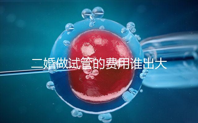 二婚做試管的費用誰出大揭秘！總共要花多少錢清清楚楚！