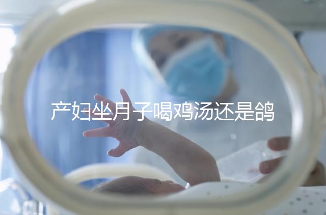 產(chǎn)婦坐月子喝雞湯還是鴿子湯？3個方面對比分析