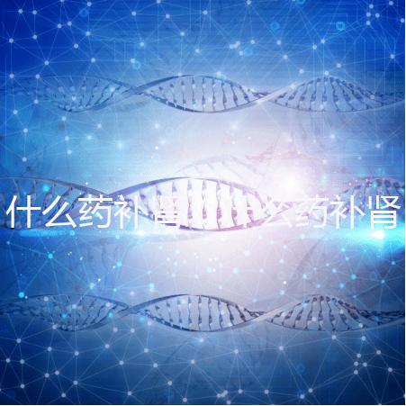 什么藥補(bǔ)腎（什么藥補(bǔ)腎壯陽(yáng)效果最好）