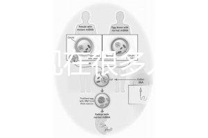 為什么現(xiàn)在很多人選擇用第三代試管嬰兒技術(shù)做試管嬰兒？