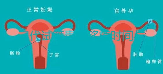 三代試管囊胚移植時(shí)間與成功率解析：移植周期與成功率一目了然