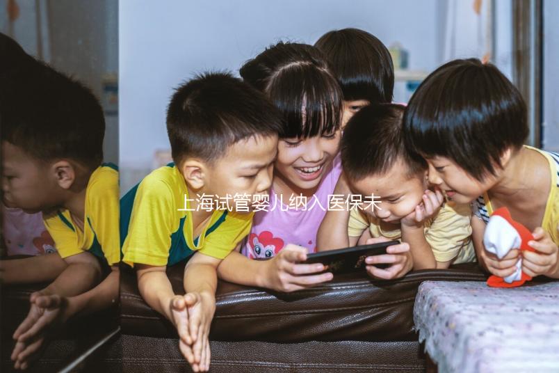 上海試管嬰兒納入醫(yī)保未批準(zhǔn)？專家：想報(bào)銷助孕費(fèi)用再等等