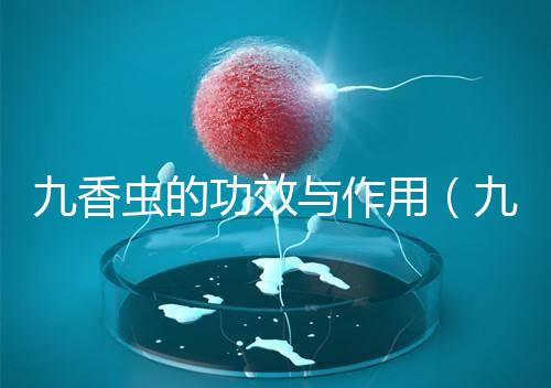 九香蟲的功效與作用（九香蟲和蜈蚣誰最壯陽）