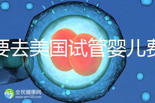 想要去美國試管嬰兒費(fèi)用要花多少錢？2025年費(fèi)用明細(xì)！