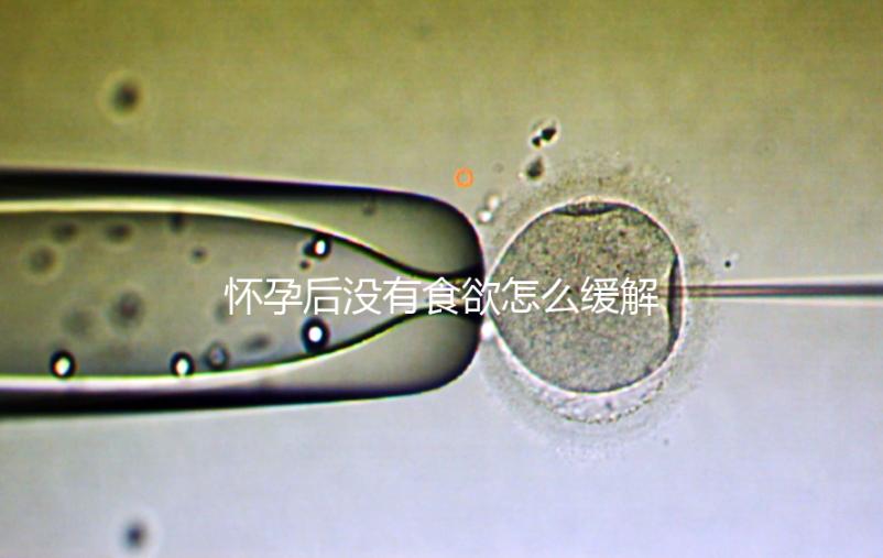 懷孕后沒有食欲怎么緩解？