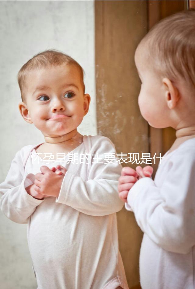 懷孕早期的主要表現是什么？