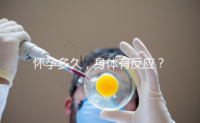 懷孕多久，身體有反應(yīng)？