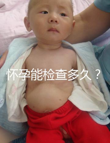 懷孕能檢查多久？