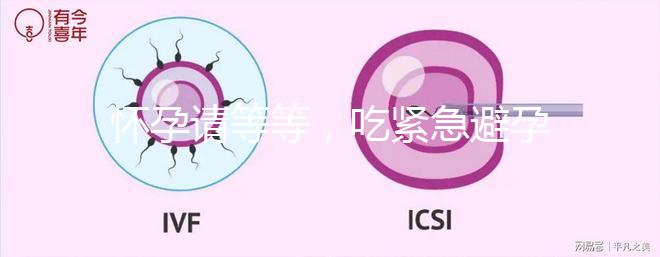 懷孕請(qǐng)等等，吃緊急避孕藥多久能有性生活看專家怎么說