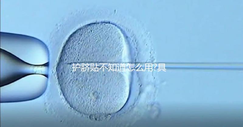 護(hù)臍貼不知道怎么用?具體使用方法分享