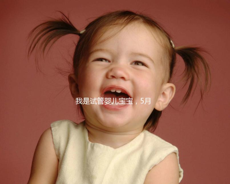 我是試管嬰兒寶寶，5月15號(hào)移植的囊胚，預(yù)產(chǎn)期是怎么算的 。。？