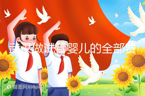 武漢做試管嬰兒的全部費(fèi)用大概是多少錢？