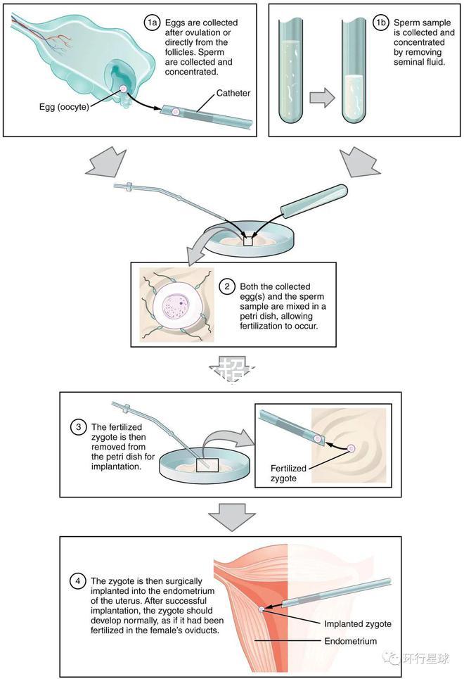 武漢四維彩超費用表整理,內附市婦保院超全預約攻略