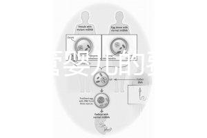 泰國試管嬰兒的費(fèi)用（泰國試管嬰兒的費(fèi)用是多少？）