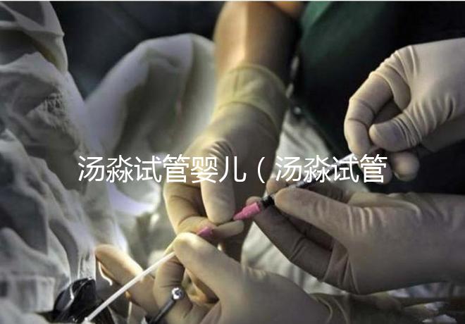 湯淼試管嬰兒(湯淼試管嬰兒是怎么來(lái)的)