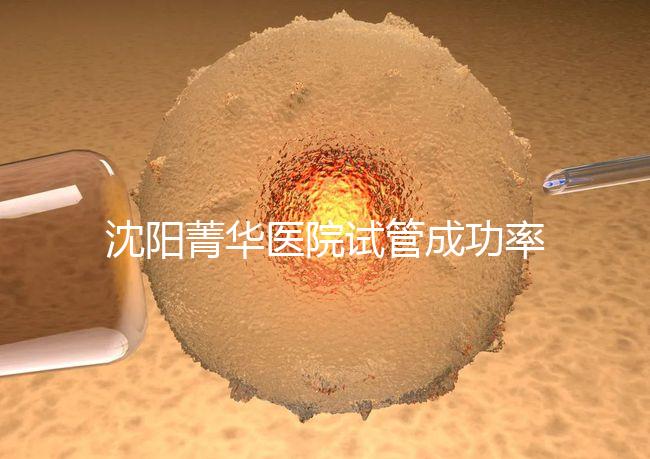 沈陽菁華醫(yī)院試管成功率高嗎？教你4招提升胚胎著床機(jī)會(huì)