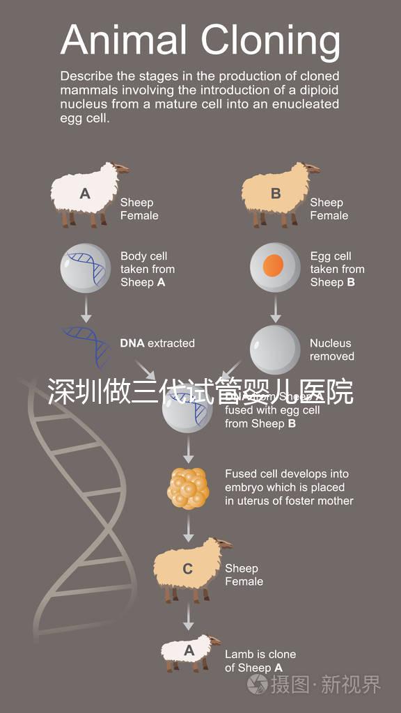 深圳做三代試管嬰兒醫院前10一覽，排名不分先后