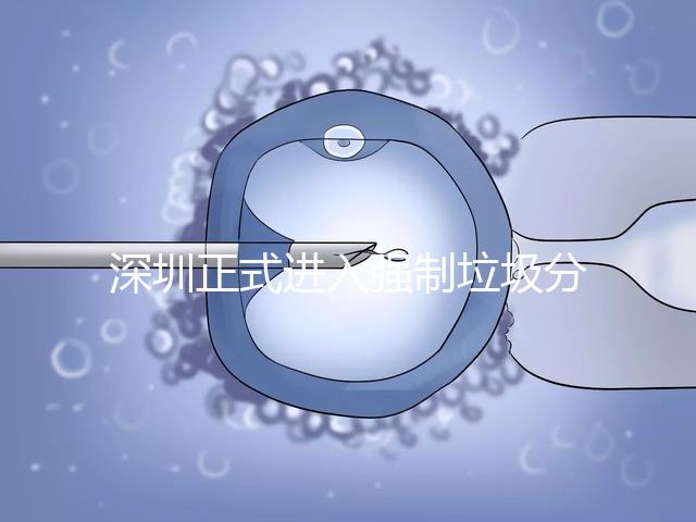 深圳正式進(jìn)入強制垃圾分類時代，不分類最高被罰50萬!